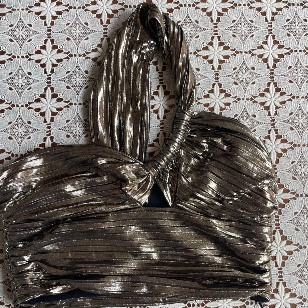 Metallic Zara Going Out Top